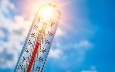 Canicule, salle fraîche à disposition